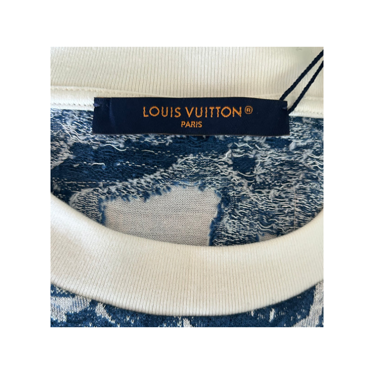 PRELOVED LOUIS VUITTON AQUAGARDEN MONOGRAM T-SHIRT IN BLUE/WHITE