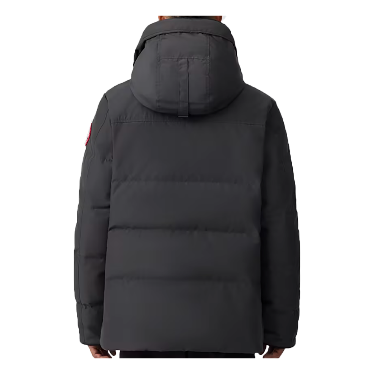 CANADA GOOSE MAC MILLAN PARKA ICONIC BADGE IN GRAPHITE