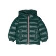MONCLER NEW AUBERT GIUBBOTTO JACKET IN GREEN