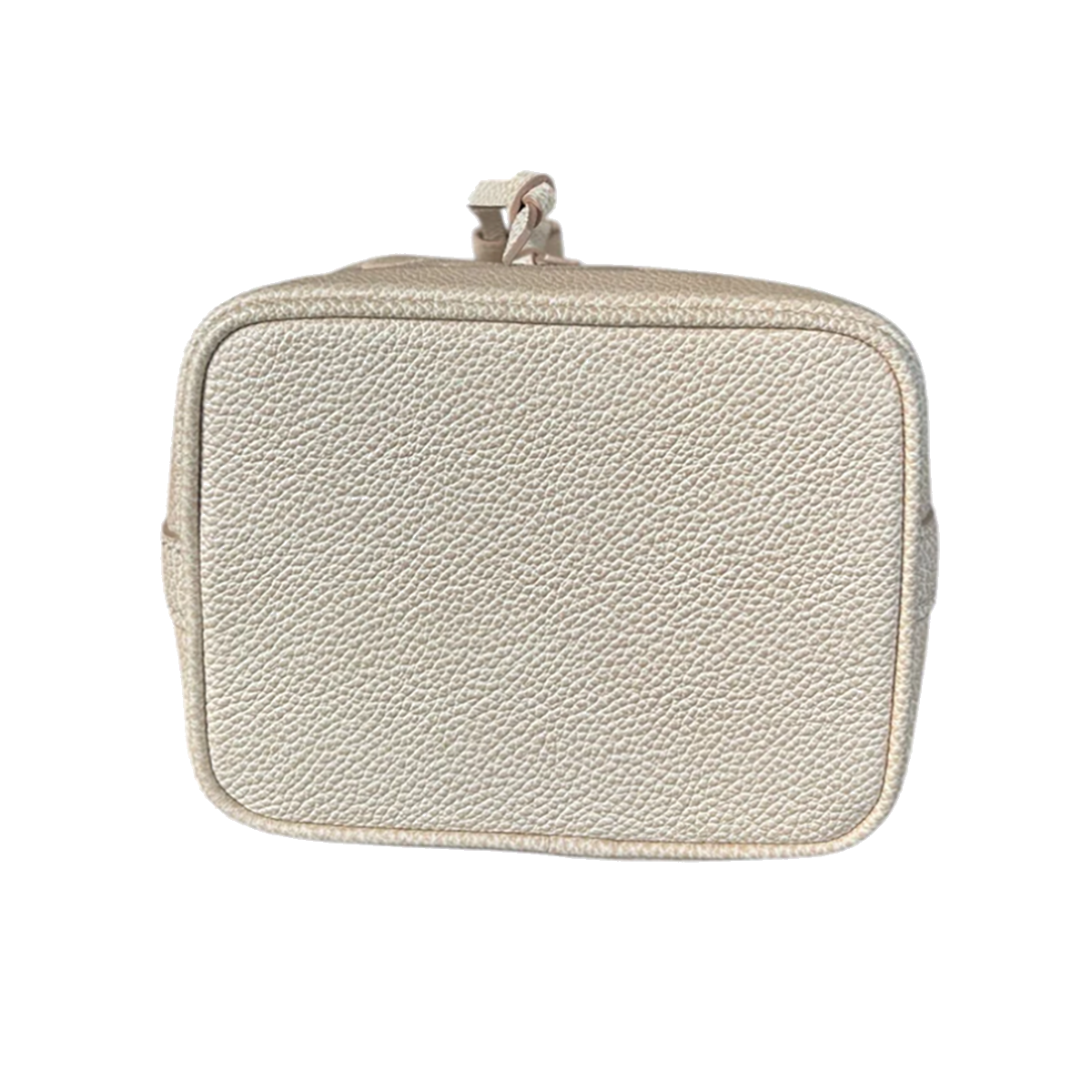 LOUIS VUITTON STARDUST MONOGRAM NANO NOE IN BEIGE