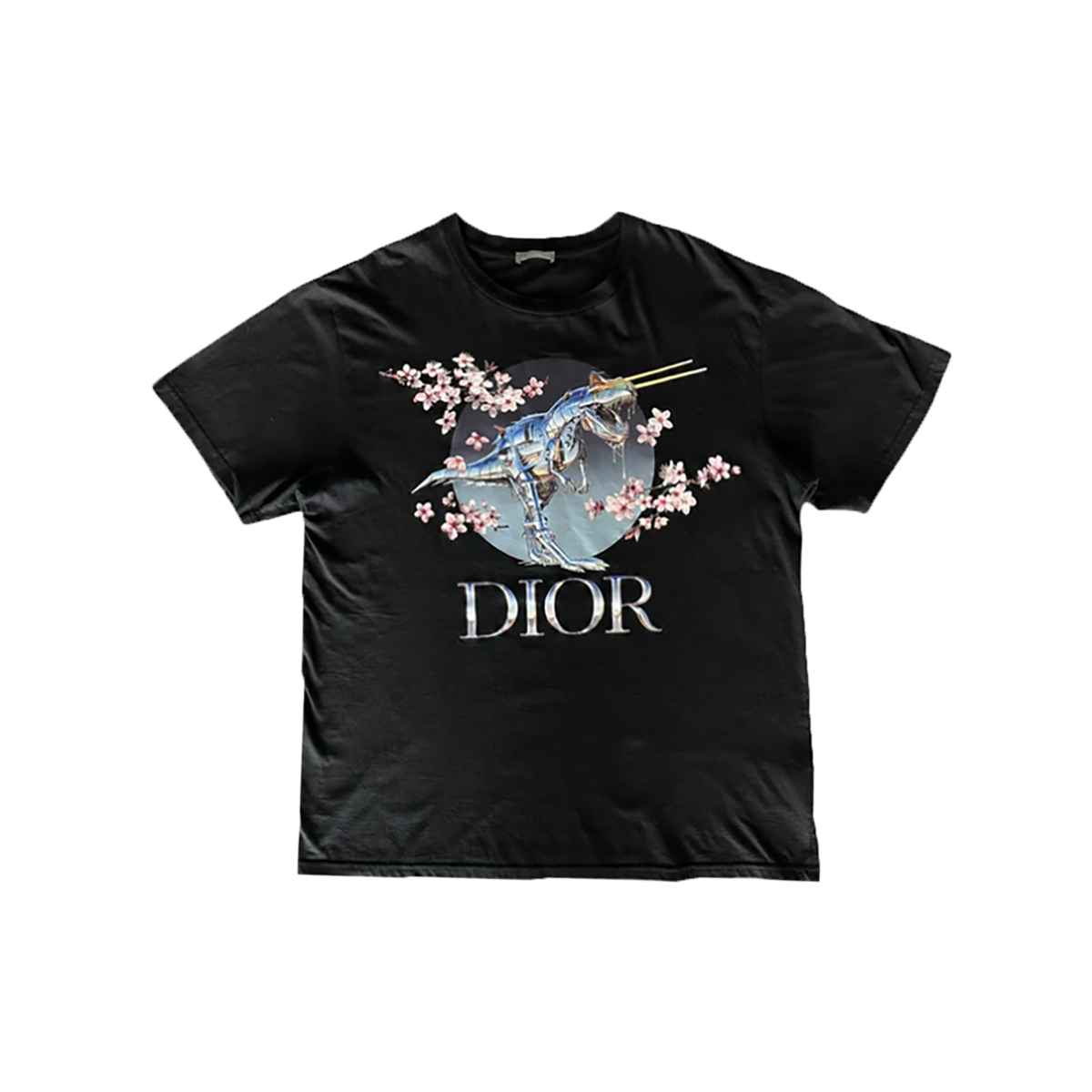DIOR SORAYAMA DINOSAUR T-SHIRT IN BLACK